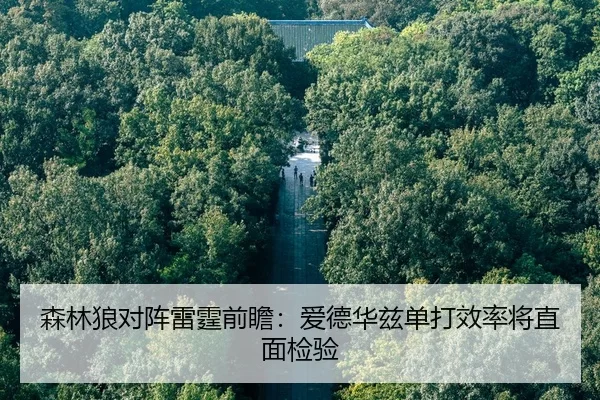 sen-lin-lang-dui-zhen-lei-ting-qian-zhan-ai-de-hua-zi-dan-da-xiao-lv-jiang-zhi-mian-jian-yan-2-847.jpg