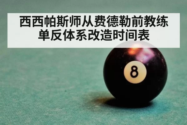 西西帕斯师从费德勒前教练 单反体系改造时间表（pgdianzi）